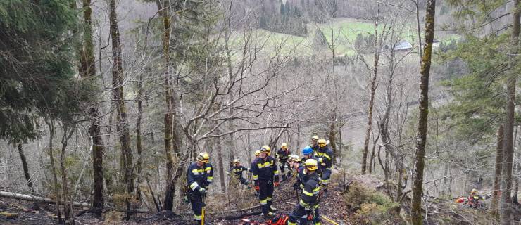 Waldbrand in Großreifling