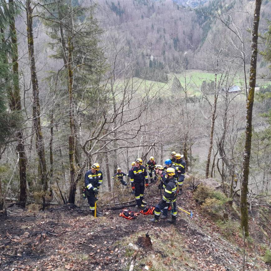 Waldbrand in Großreifling